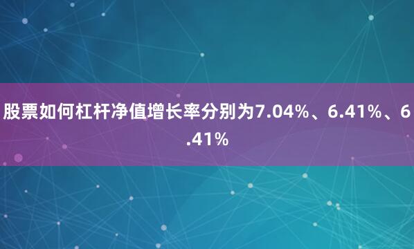 股票如何杠杆净值增长率分别为7.04%、6.41%、6.41%