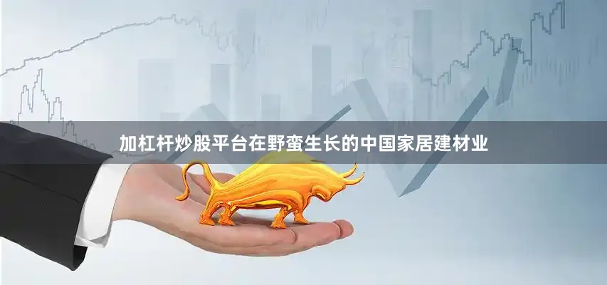加杠杆炒股平台在野蛮生长的中国家居建材业